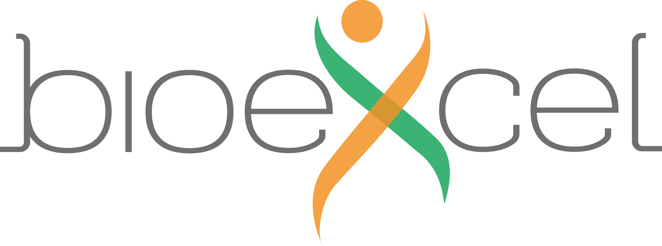 bioexcel-logo
