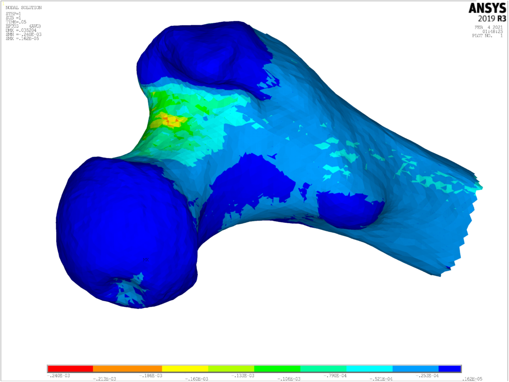 Figure 1: computer model of a femur
