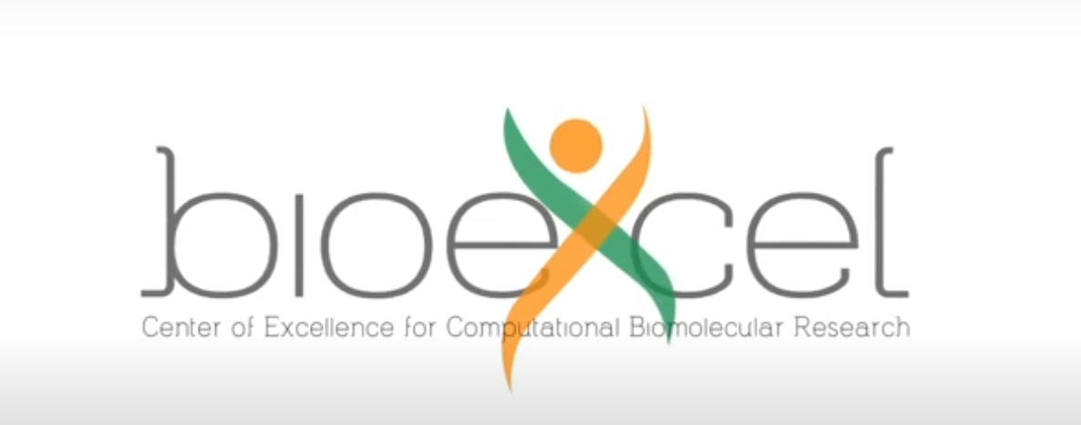 Recent developments and impact of BioExcel