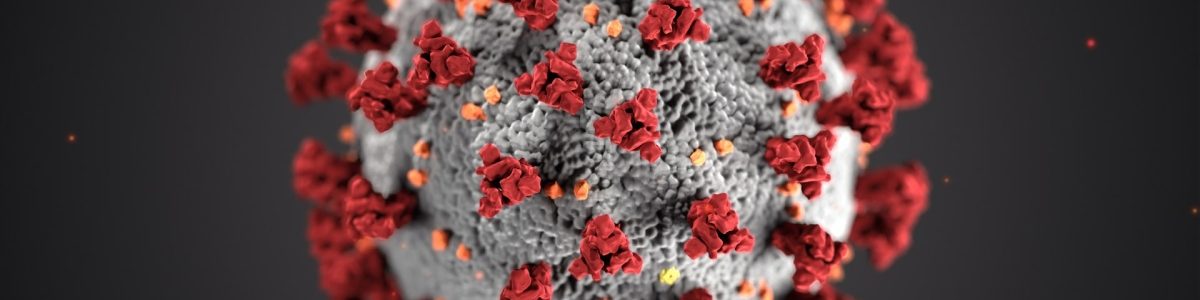 This illustration, created at the Centers for Disease Control and Prevention (CDC), reveals ultrastructural morphology exhibited by coronaviruses. Note the spikes that adorn the outer surface of the virus, which impart the look of a corona surrounding the virion, when viewed electron microscopically. A novel coronavirus, named Severe Acute Respiratory Syndrome coronavirus 2 (SARS-CoV-2), was identified as the cause of an outbreak of respiratory illness first detected in Wuhan, China in 2019. The illness caused by this virus has been named coronavirus disease 2019 (COVID-19).